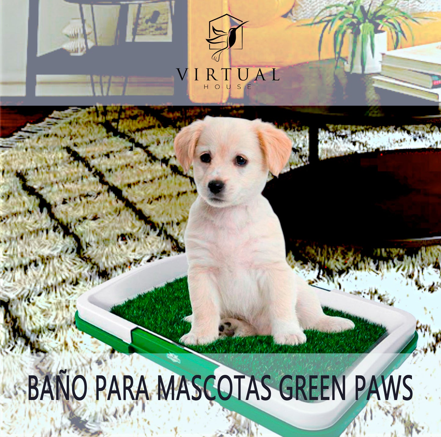 Baño Para Mascotas Green Paws 🐶🐱